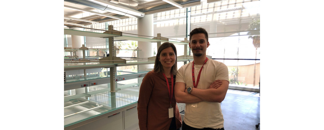 Ana.Francico Lab