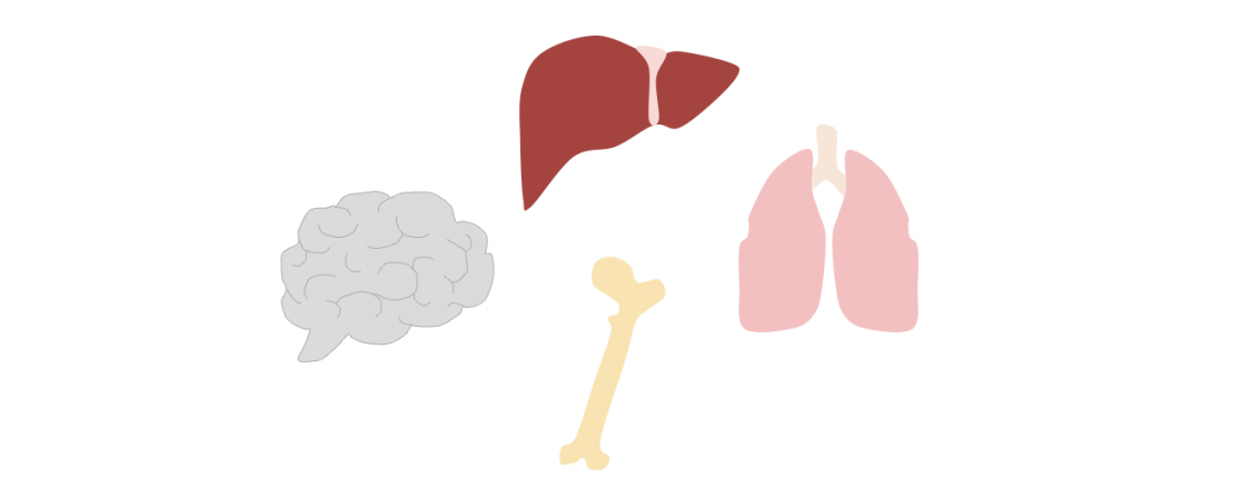 Tissue specificity