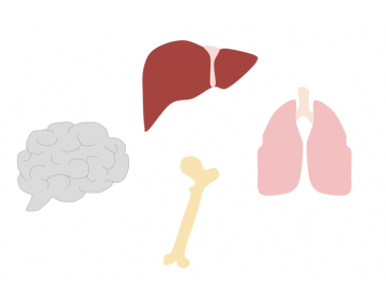 Tissue specificity